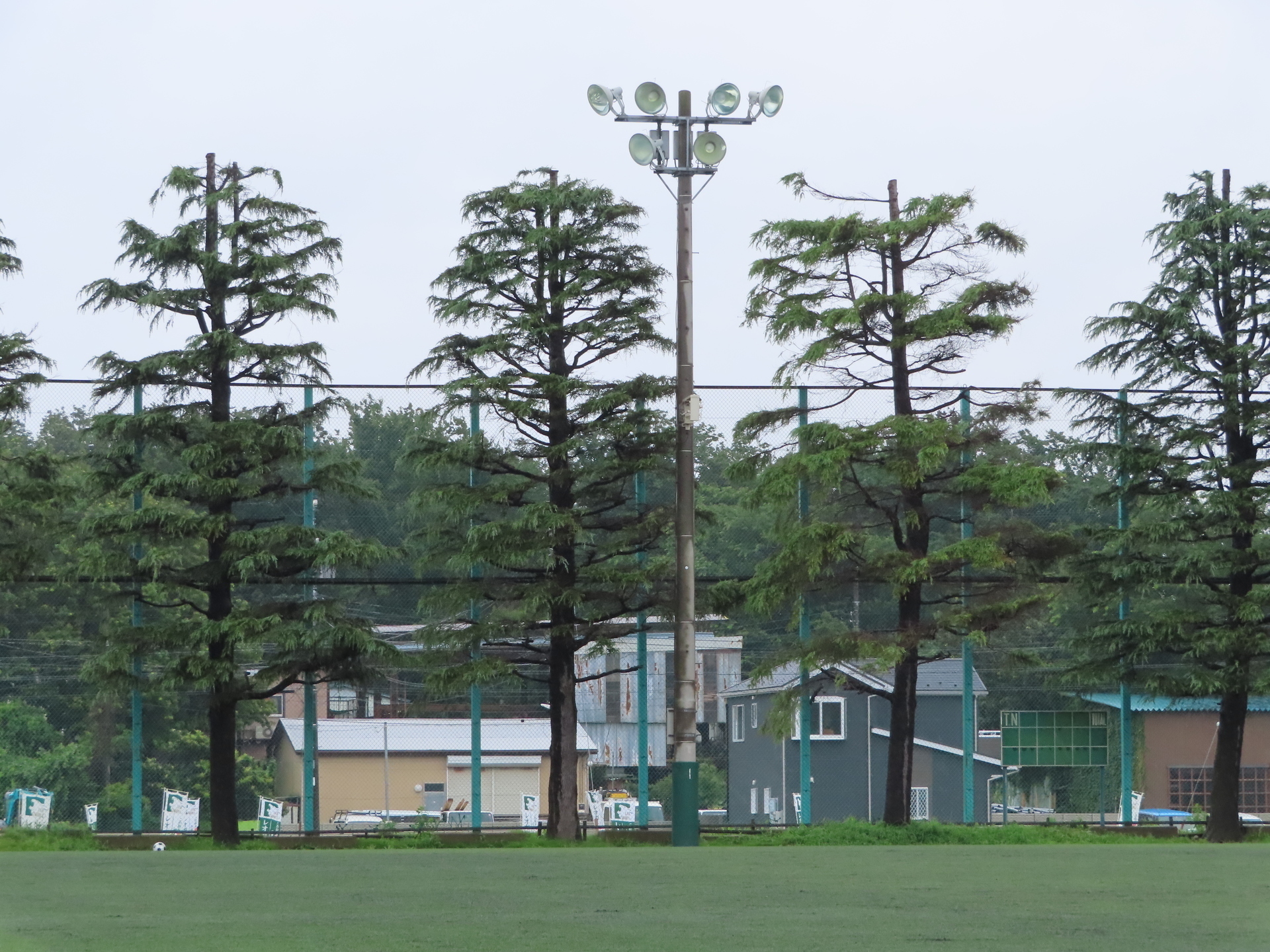 07 23 Tm 市立船橋vsfc市川gunners 法典公園 グラスポ 8 0 あああ