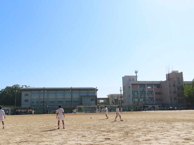 IMG_3461.JPG