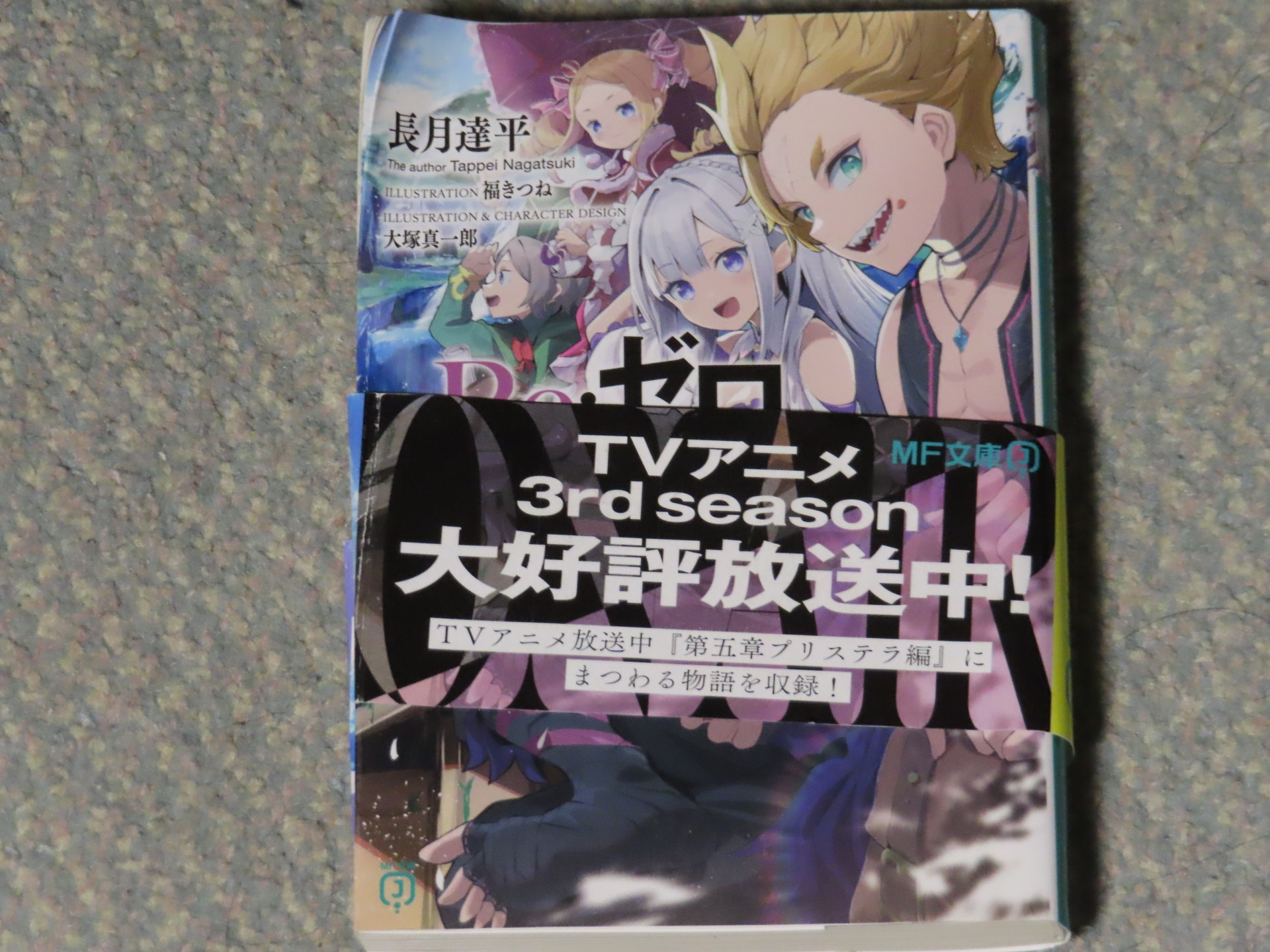 小説：Re:ゼロから始める異世界生活 短編集11: あああ