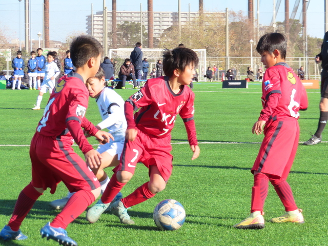 IMG_4987.JPG