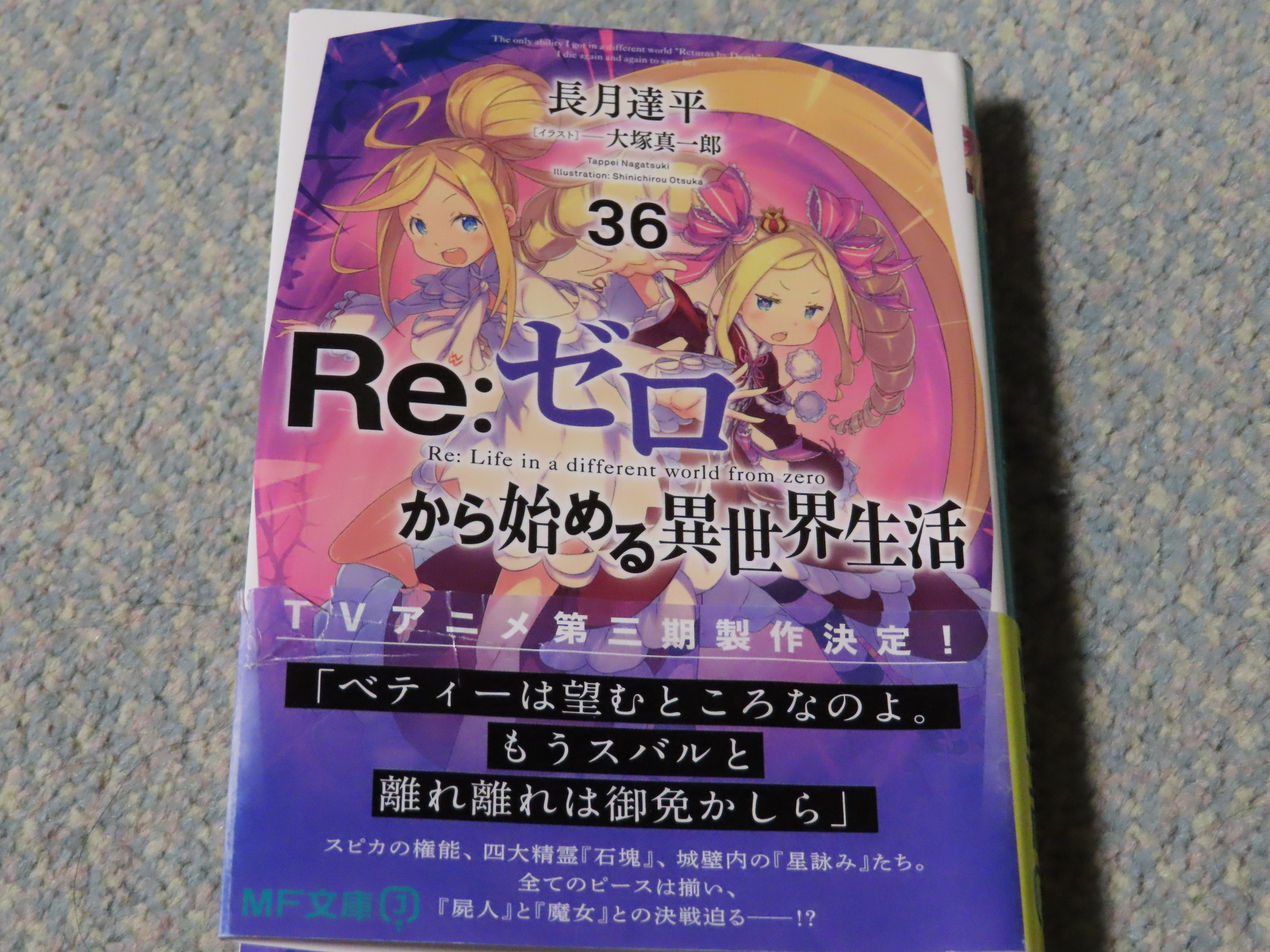 小説：Re:ゼロから始める異世界生活 ３６: あああ