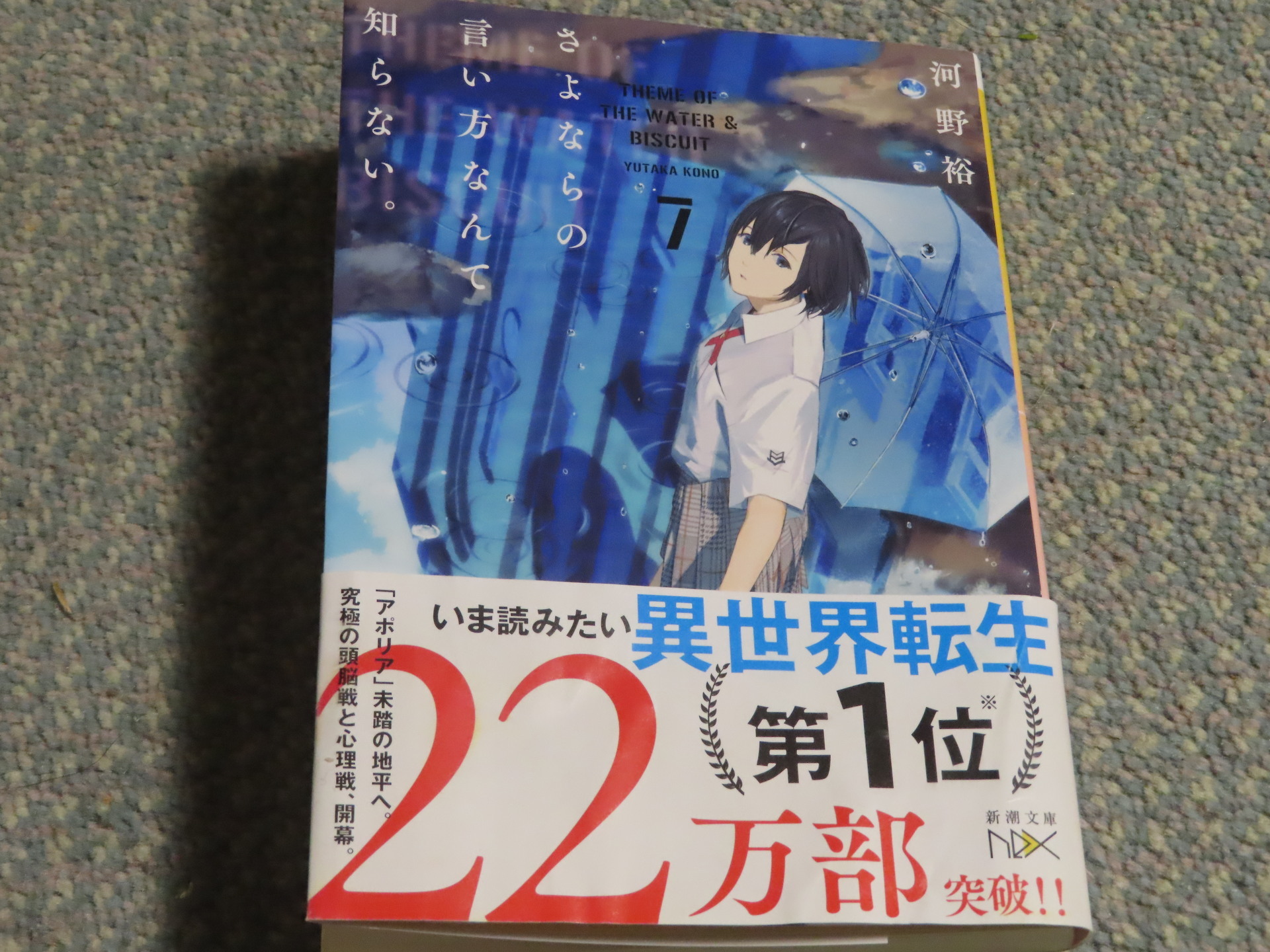 小説 さよならの言い方なんて知らない 7 あああ